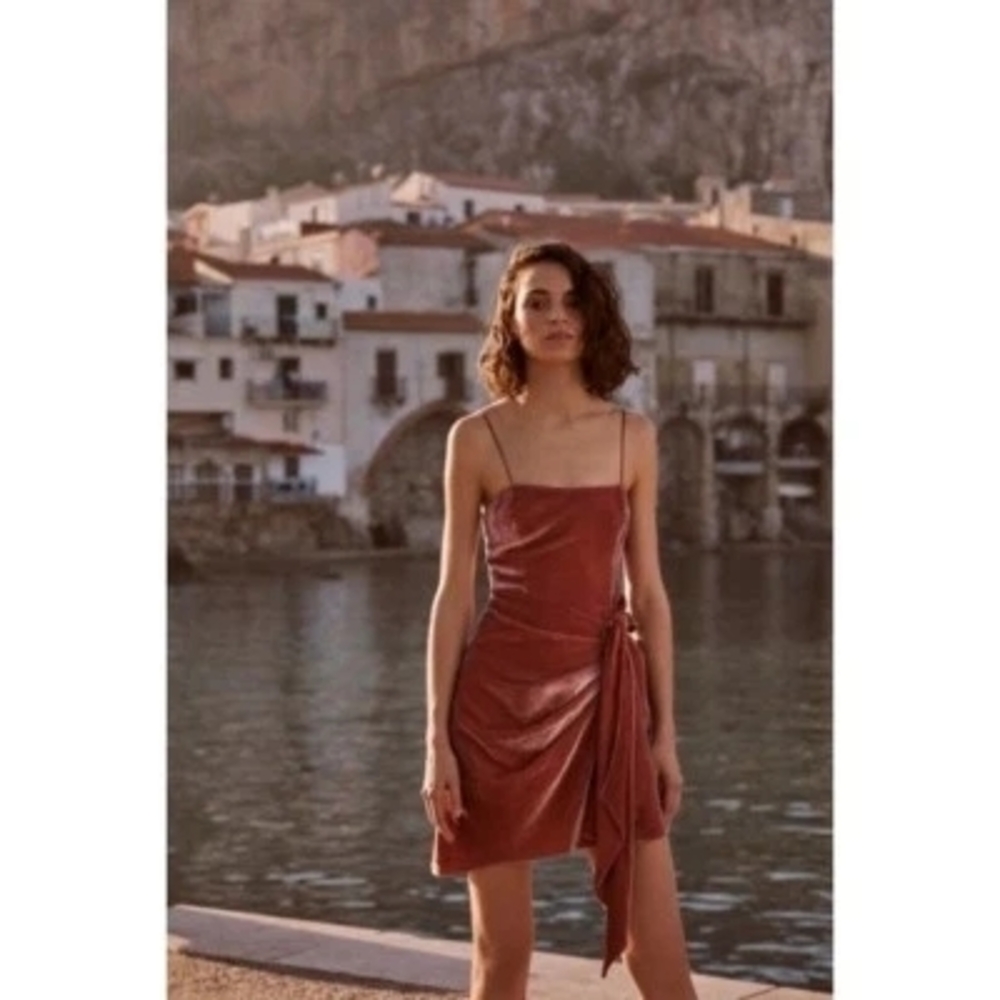 Cinq‎ à Sept Velvet Mini Dress in Rosewood